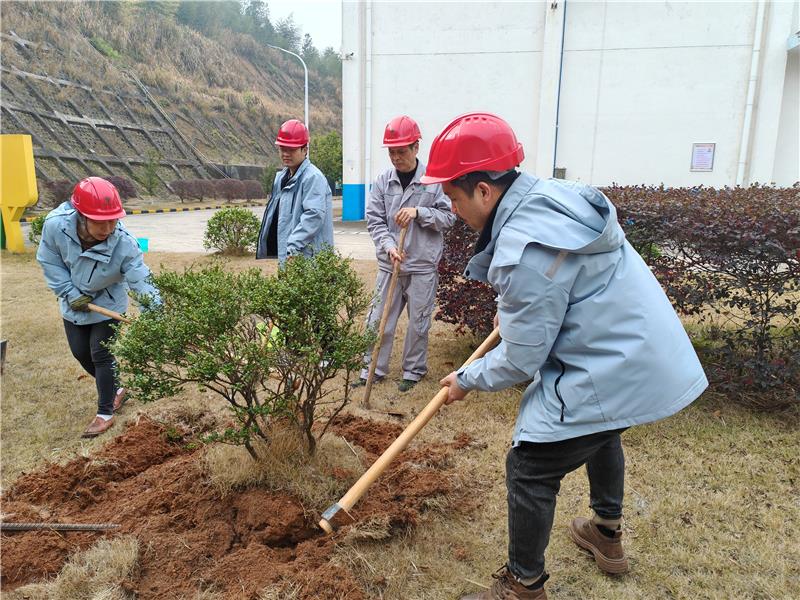 六台盒宝典资料大全