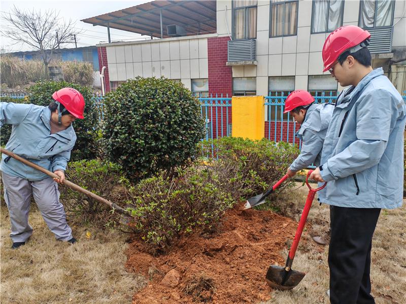 六台盒宝典资料大全