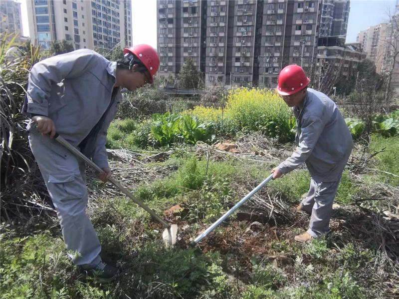 六台盒宝典资料大全